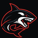 Kasatka