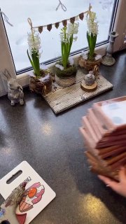 Компактная теплица из рамок своими руками Это отличный способ создать практичное или декоративное дополнение к растениям, растущим у вас дома. Диза... - изображение 1 - telegram, view, компактная