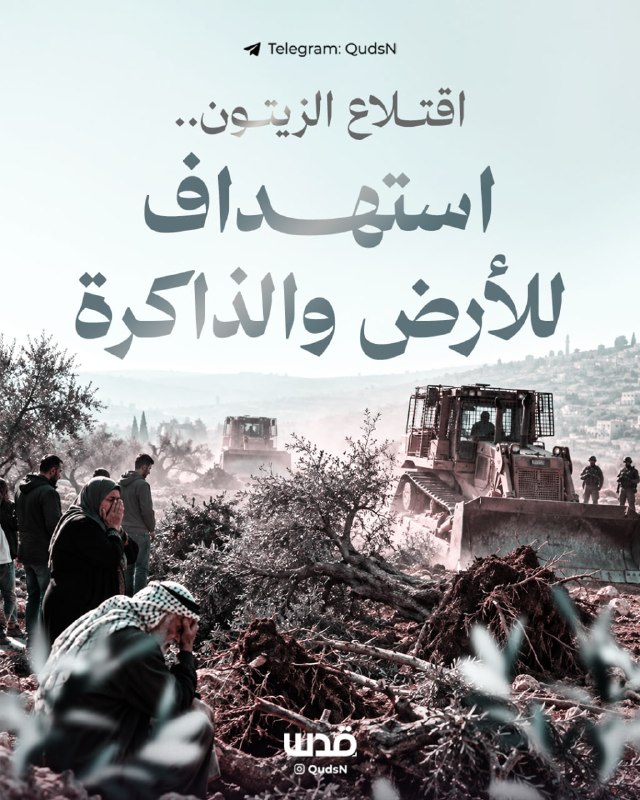 הכיבוש מצור על עונת הזיתים, מורה על עקירת מאות דונמים בגדה המערבית, צווים צבאיים שוללים את אדמותיהם מהחקלאים ופוגע באלפי עצי זית בעזה.