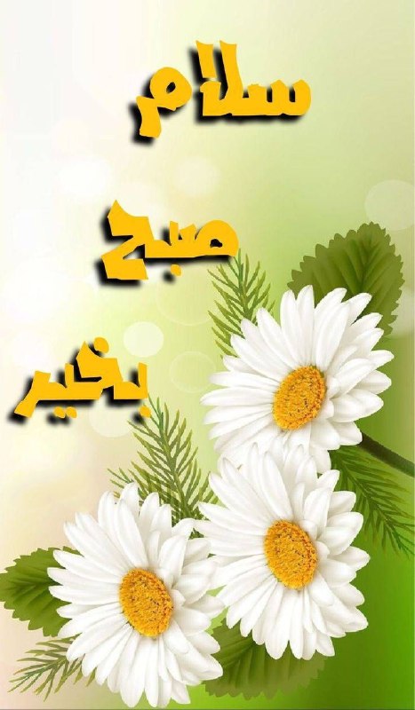 🍃﷽🍃 سنگ صبور🍃﷽🍃: سلام صبح بخیر