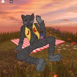 -🐈🎮Jacki games🎮🐈-