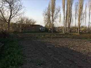 Plot for sale in Toshoul. 6.5 sotok. Documents ready.