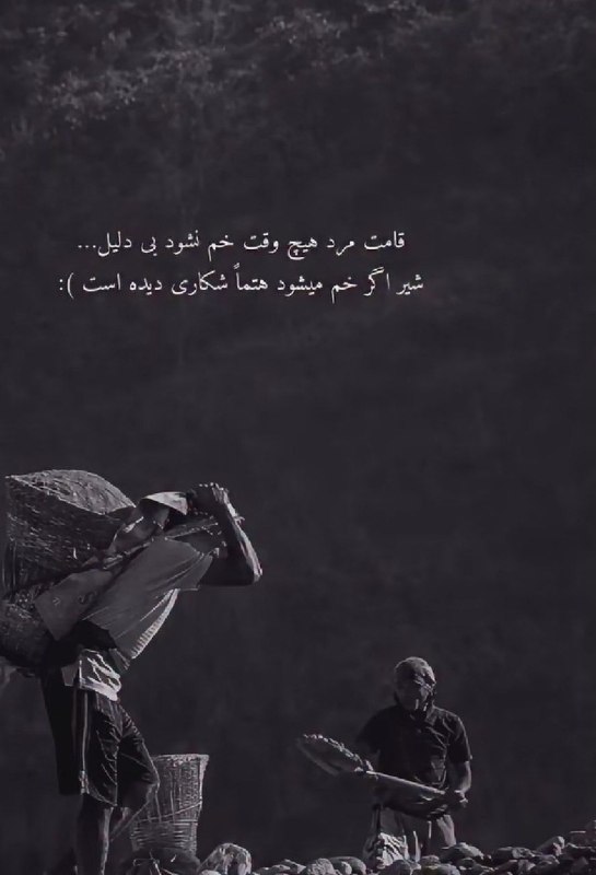👑 شهر عکس 👑: 💜 @shahreeaks 💜