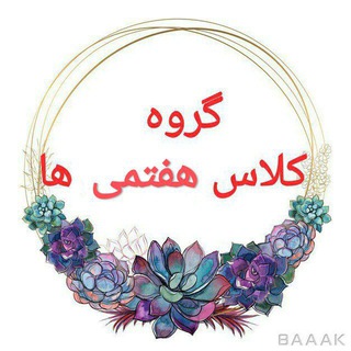 گروه کلاس هفتمی ها