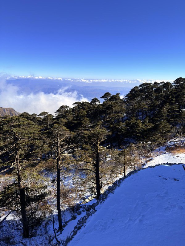 苍山上面原来是这样的风起云涌海拔 3900 米之上，紫外线爆表，变色眼镜第一次变成了纯黑色，看手机都看不清意外的是暴晒+零度气温，竟然不觉得冷氧气是人类的最好的朋友苍山上面原来是这样的风起云涌海拔 3900 米之上，紫外线爆表，变色眼镜第一次变成了纯黑色，看手机都看不清意外的是暴晒+零度气温，竟然不觉得冷氧气是人类的最好的朋友