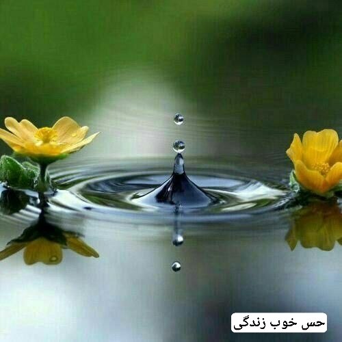 حس خوب زندگی 😊: باورهای خوب باورهایی است که به شما احساس آرامش و اطمینان قلبی میده،وقتی دنبال احساس خوب باشی اتفاق های خوب می افتند.وقتی