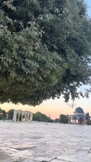 Scenes from the blessed Al-Aqsa Mosque..