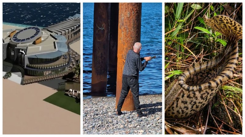 🗞 ГЛАВНЫЕ НОВОСТИ НЕДЕЛИ — фото 1