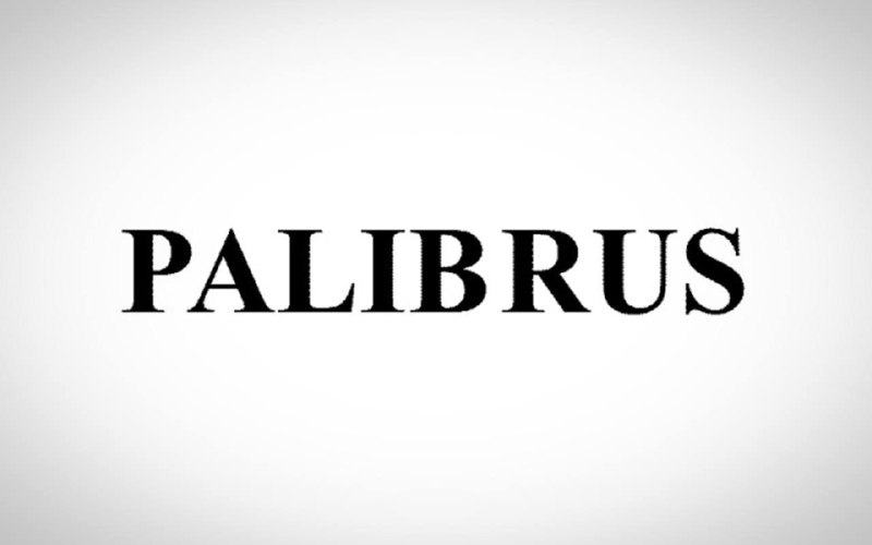 Hyundai запатентовал в России название Palibrus