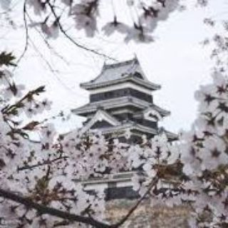 Japanese Movies Telegram Group Link