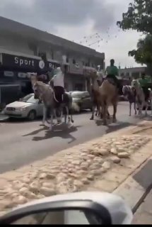 ערבים נוסעים לקלפיות כדי להצביע למפלגת רעם בבחירות בישראל.