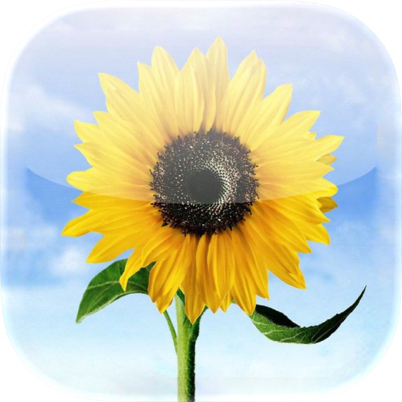 Photos App