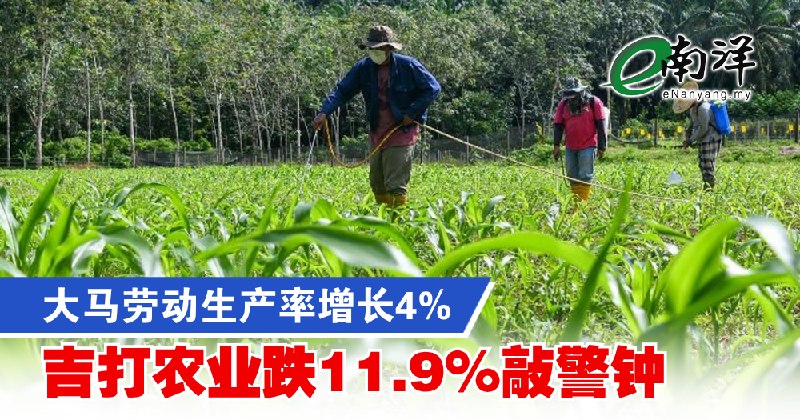 eNanyang.שלי פריון העבודה של מלזיה עלה ב-4%, התעשייה החקלאית של קדה ירדה ב-11.9%, מה שמשמיע אזעקה