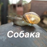помойся