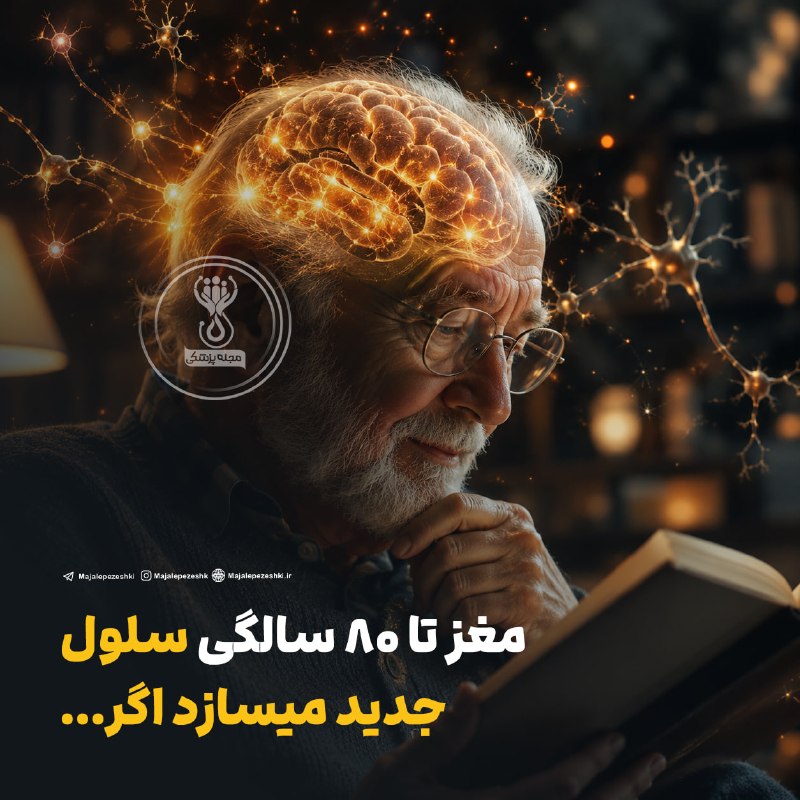 آخرین خبر مازندران: ♦️مغز تا 80 سالگی سلول جدید میسازد اگر...🧠◽️حتی با افزایش سن، مغز همچنان می‌تواند با یادگیری‌های جدید سازگار شود و ارتبا
