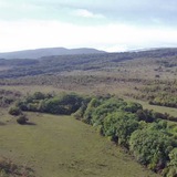 Баракаевский