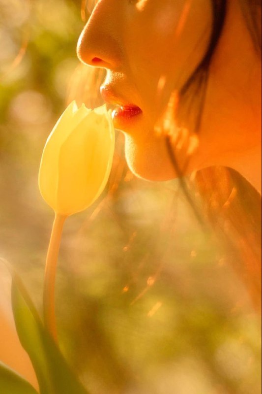 😍💋😘من وتو😍💋😘: ای بادِ صبح! عطری از آن پیرهن بیارتسکین ز بوی گل نپذیرد مشامِ ما