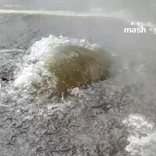 Жительница Москвы получила ожоги от кипятка на дороге — Молдагуловую улицу столицы затопило горячей водой после прорыва трубы. Девушку госпитализировали. Сейчас дорога перекрыта.❗️ Не грузятся фото и видео? Читайте нас в MAX.