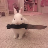 там где цикады плачут