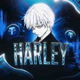 HARLEY STUDIO SAMP/CRMP