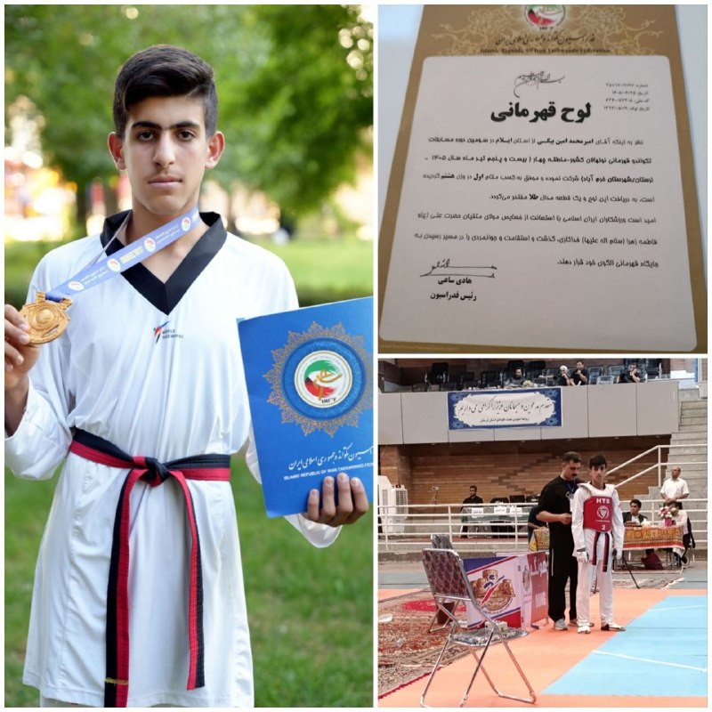 سیروان نوین: کسب مدال طلای مسابقات قهرمانی تکواندو کشور توسط دانش‌آموز دبیرستان شهید دستغیب کارزان 🥇 امیرمحمد امین بیگی، دانش آموز پا
