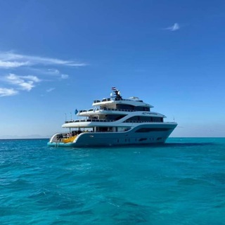 Egyptian Cruising Company Telegram Group Link