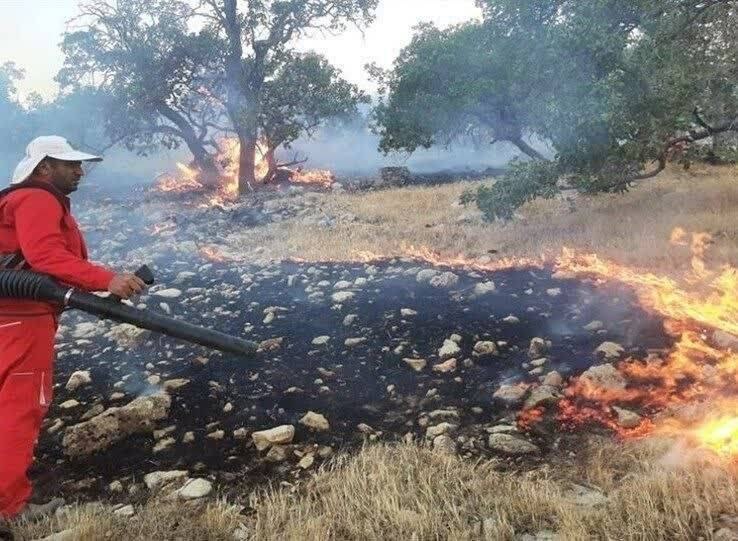 اخبار فارس: ♦️ آتش به جان جنگلهای کوهمره سرخی شیراز افتاد 🔹 آتشسوزی گسترده از ظهر امروز (جمعه) در جنگلها و ارتفاعات دهستان کوهمره