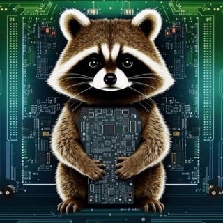 Racc00n_News chat