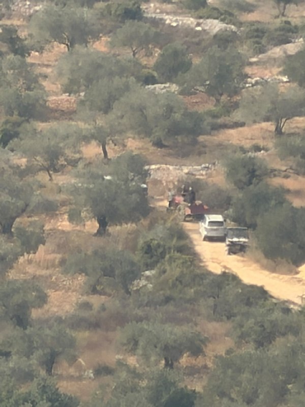כוחות ישראל מחרימים ועוצרים כ-15 חקלאים, בהם קשישים, ומחרימים טרקטור חקלאי באזור אלוואד בעיירה אלסאוויה, דר…