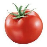 🍅 помидор куценко (семьяогурцят)