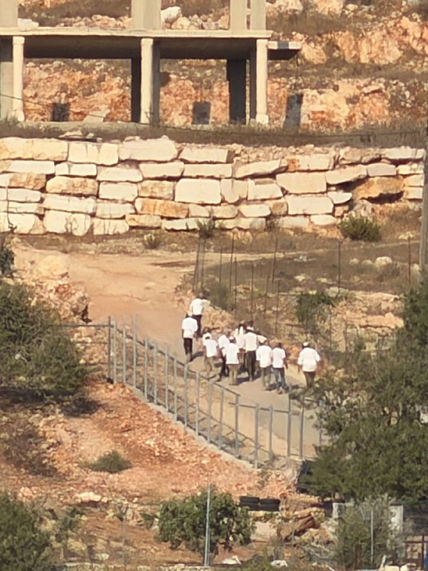 דחוף: מתנחלים מסתערים על פאתי הכפר בורין, מדרום לשכם.