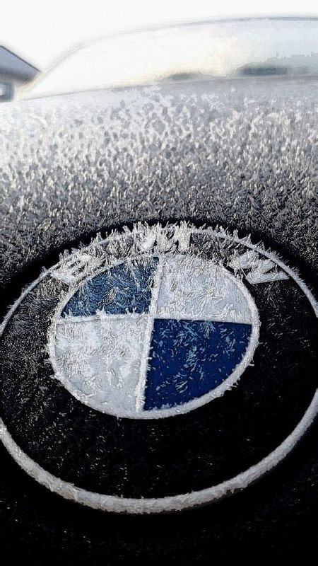 https://t.me/bmw_mpower_club