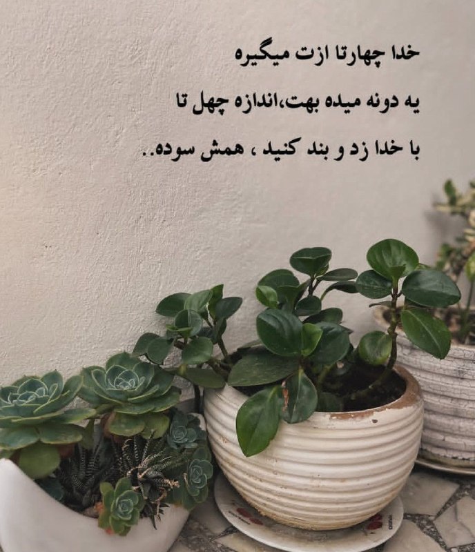👑 شهر عکس 👑: 💜 @shahreeaks 💜