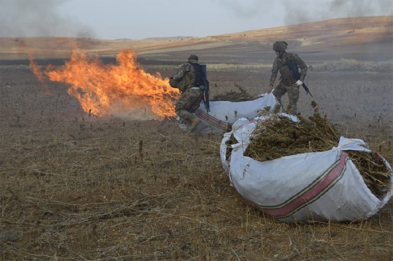 60 טון חשיש ומבוקש מסוכן מבצעי צבא מהרמל ועד בריטל (תמונות)