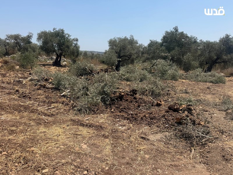 רשת חדשות ירושלים