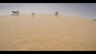 צילומים מעניינים מקרב צמוד נגד החות'ים במדבריות של מחוז אל-ג'וף ששוחרר על ידי שבט אנטי-החות'ים.