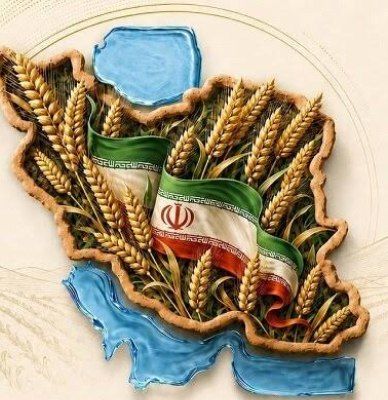 🇮🇷کلات نیوز 🇮🇷: ⭕️ تمدید مهلت خرید گندم برای آخرین بار🔹به اطلاع گندمکاران گرامی می رساند: با توجه به درخواست کشاورزان برای تحویل گندم و