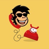 DefiApeCalls ☎️