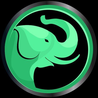 Egoras™ Telegram Group Link