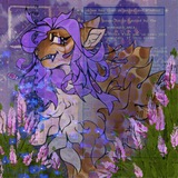 ГорСоб ✧ горизонт событий ✧ 🌾 ✧