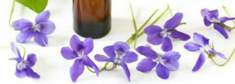 طب قدیم: 💠 درمان شکستگی موهای رنگ شده برای درمان شکستگی موها بعد از حمام و موهایی که بر اثر رنگ کردن ضعیف شده اند ترکیب روغنهای ب