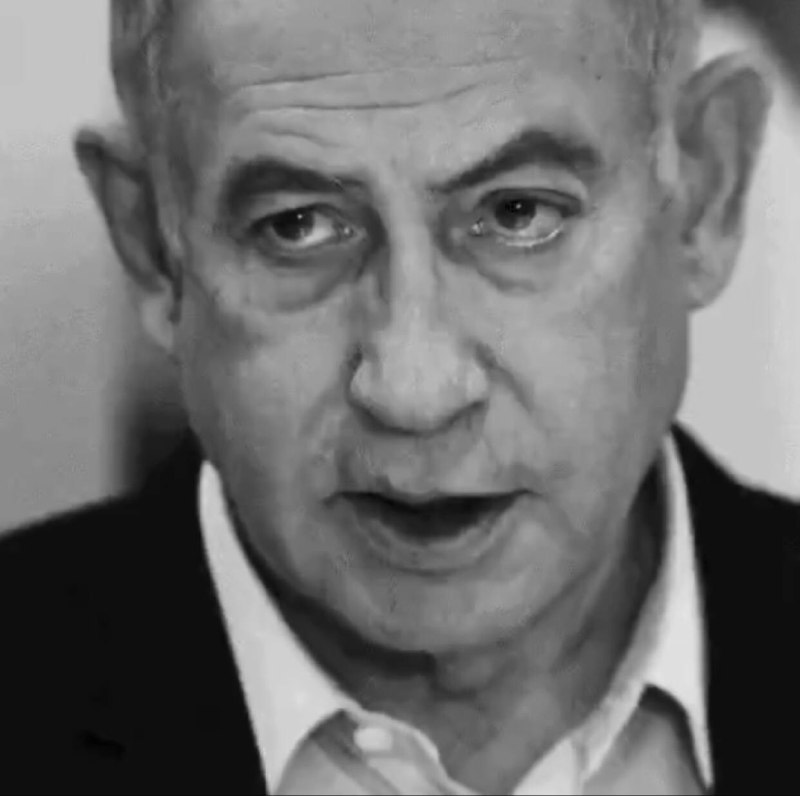 נתניהו: זהרן ממדאני תומך באיראן, בחיזבאללה ובחמאס.