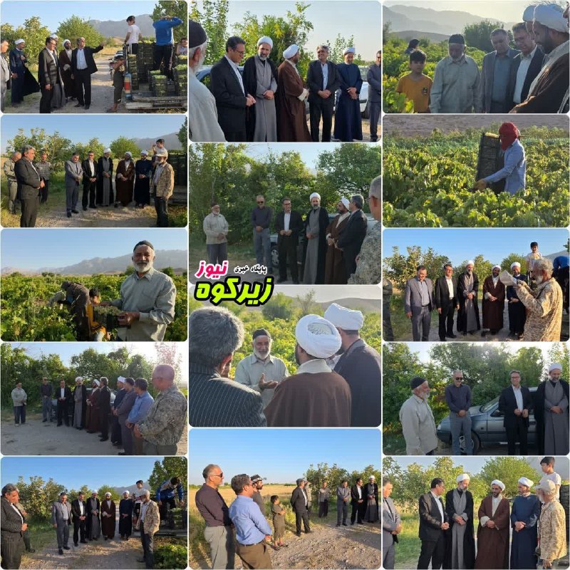 پایگاه خبری زیرکوه نیوز: ❇️ اهدای یک و نیم تن انگور توسط کشاورزان روستای محمدآباد به نیازمندان شهرستان 🔸در اقدامی خداپسندانه با حضور حجت الاسلام