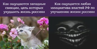 В минцифры захотели заставить Apple вернуть в App Store удалённые оттуда приложения российских компаний. Для этого собираются приостановить оплату сервисов Apple со счёта мобильного, пишет «Интерфакс» со ссылкой на источник.По его словам, эту идею минцифры