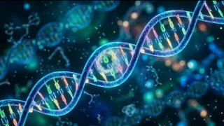 מה אם אתה משתמש במבחנה עם DNA במקום בכונן הבזק? מדענים כבר למדו לאחסן תצלומים במולקולות ולשחזר אותם בחזרה…