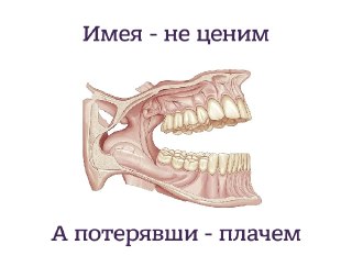 Москвичка заточила себе зубы напильником и откусила член мужу из-за ревности  По данным «Базы», женщина нашла в телефоне супруга переписку с незнакомкой, в которой та описывала эротический сон, после чего два дня продумывала месть и точила зубы напильником