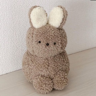 cats, food, simple life. Telegram Group Link