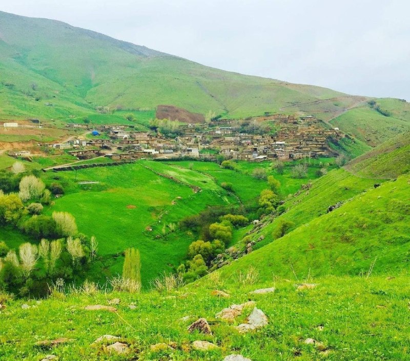 پایگاه خبری بوکان موکریان: ☀ ڕۆژ باش هاوڕێیان و ئازیزانی #بوکان_موکریان🗓 ئهمڕۆ دوشهممه🌷۲۶ی گەلاوێژی ۲۷۲۶ی کوردی🌷۲۶ی موردادی ۱۴۰۵ی هــەتـاوی🌷۱۷ی ئ