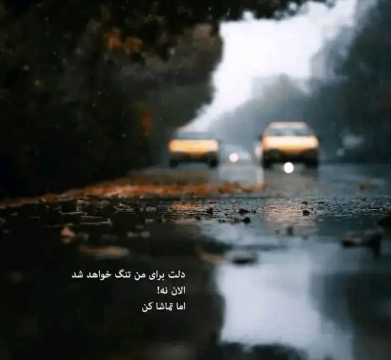 📸 گلچین بهترینها 🗒🎼: رسانه پست