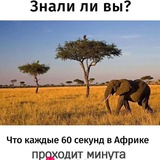 Прайс Арису
